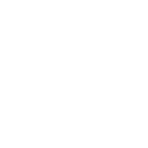Roamza Cleaning Services Logo white